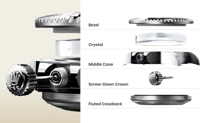 The Anatomy of an Oyster Case